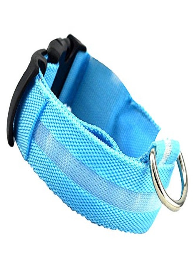 Futaba Nylon Pet Glow in Dark LED Collar Night Safety - Blue - Large - Image 2